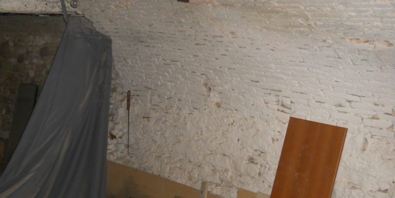 DSCN1767